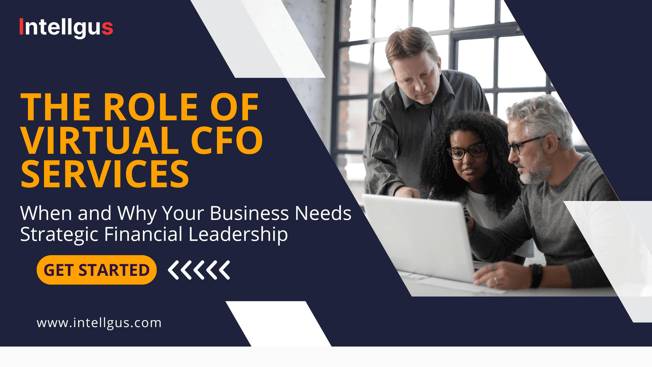 Virtual CFO Services: When and Why Your Business Needs One | Intellgus